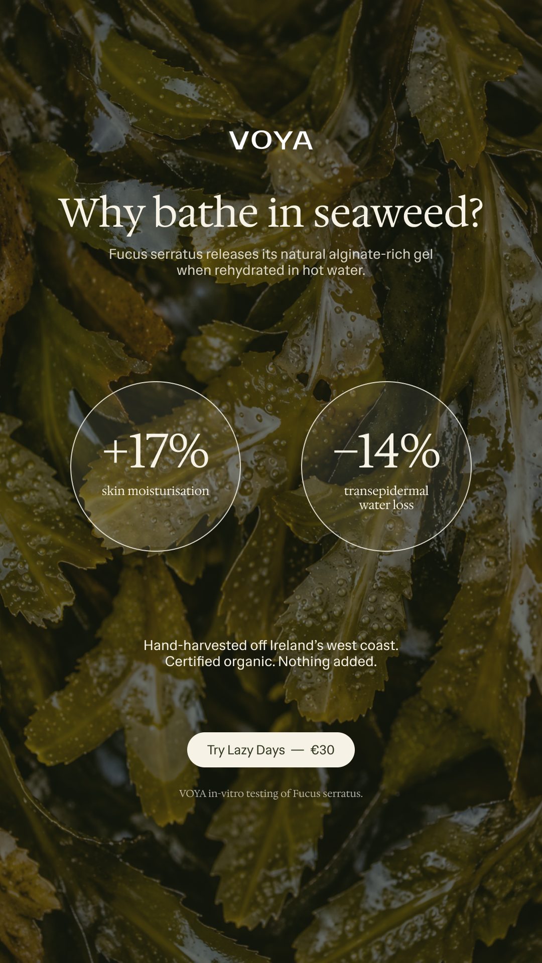 Story: Why bathe in seaweed?