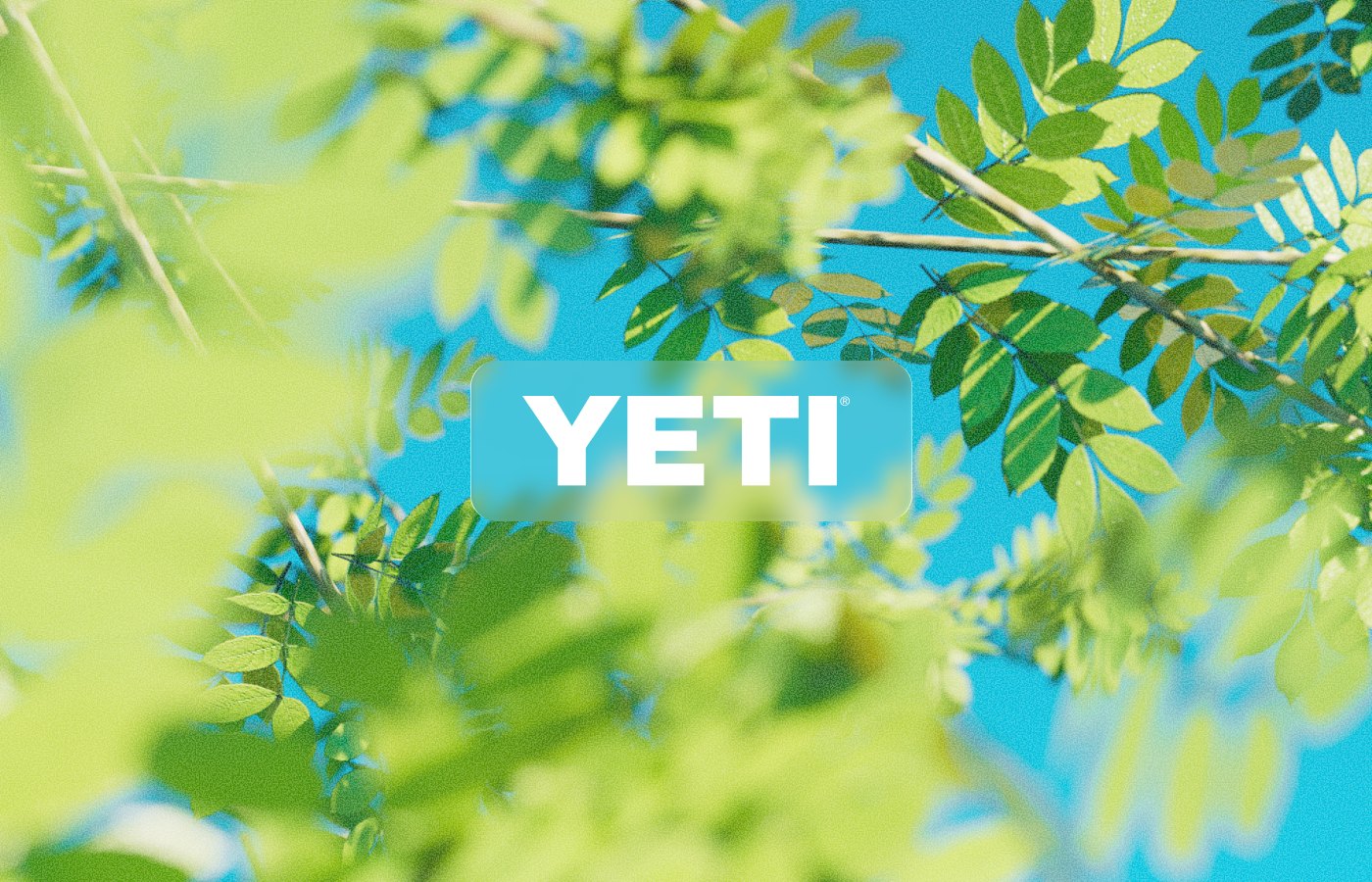 YETI logo through sunlit leaves against a blue sky